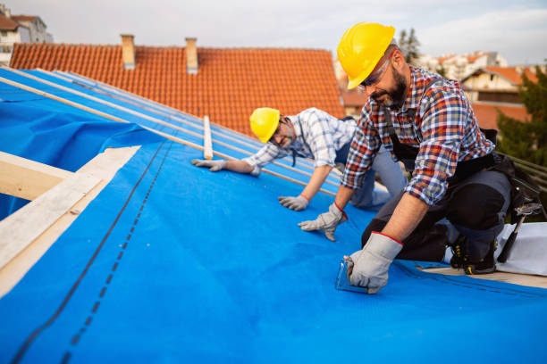 Best Rubber Roofing (EPDM, TPO)  in Middleport, NY